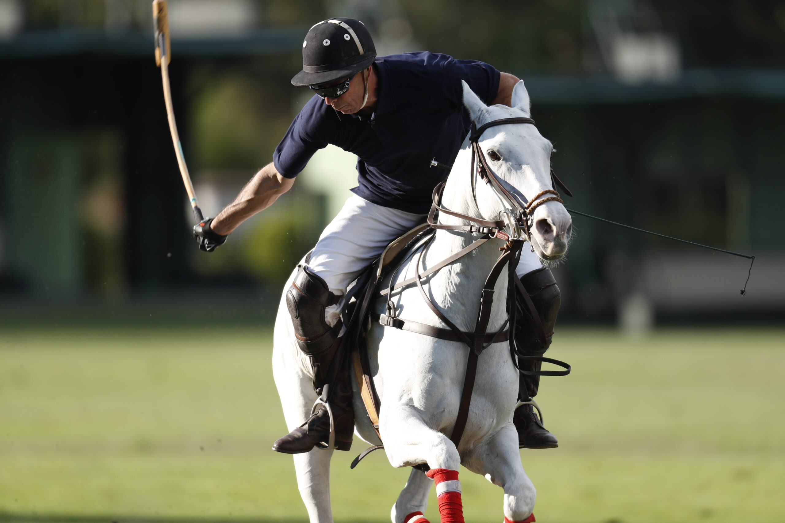 VI Campeonato Abierto de Polo de Madrid