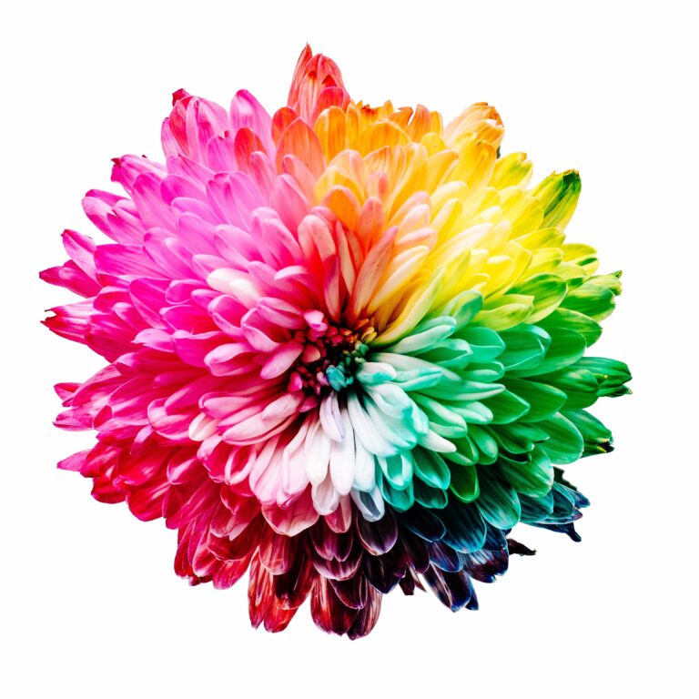 Los colores del verano