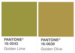 Pantone verde 16-0543 Pantone verde 16-0543