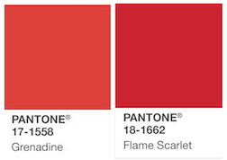Pantone rojo 17-1558 Pantone rojo 17-1558