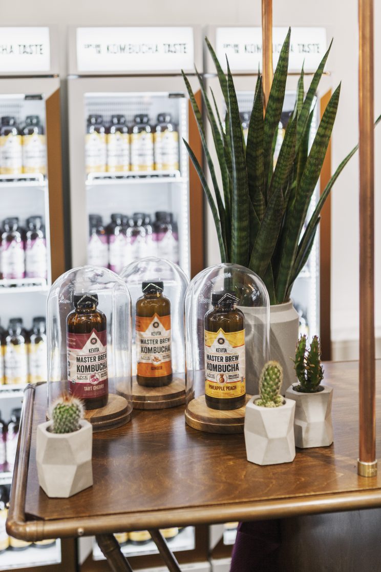 KeVita una bebida saludable Variedad de sabores de la bebida kombucha probiótica,Kevita