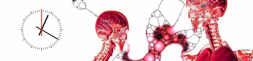 Autofagia: Aprende como el cuerpo se renueva cada 7 años Autofagia: Aprende como el cuerpo se renueva cada 7 años