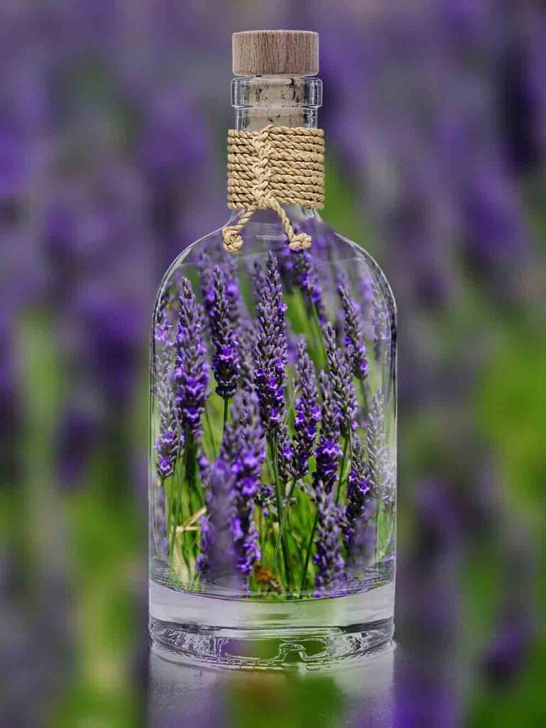 Propiedades de la lavanda