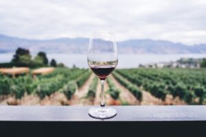 La magia del enoturismo. Copa de vino