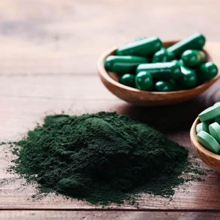 Alga espirulina