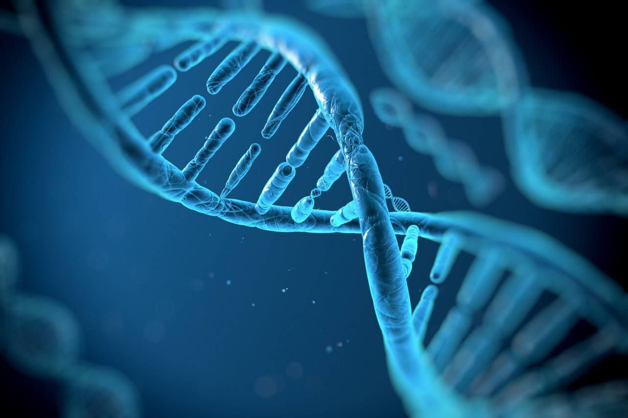 Investigadores han logrado secuenciar el genoma humano al completo Genoma humano ADN