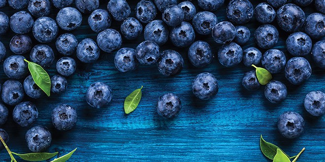 Arándanos: Conoce sus propiedades y beneficios Arándanos