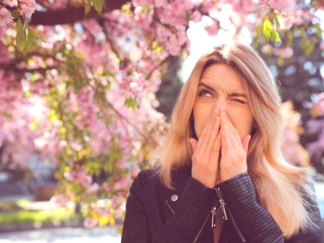 Suplementos nutricionales para disminuir los síntomas de las alergias disminuir los síntomas de las alergias