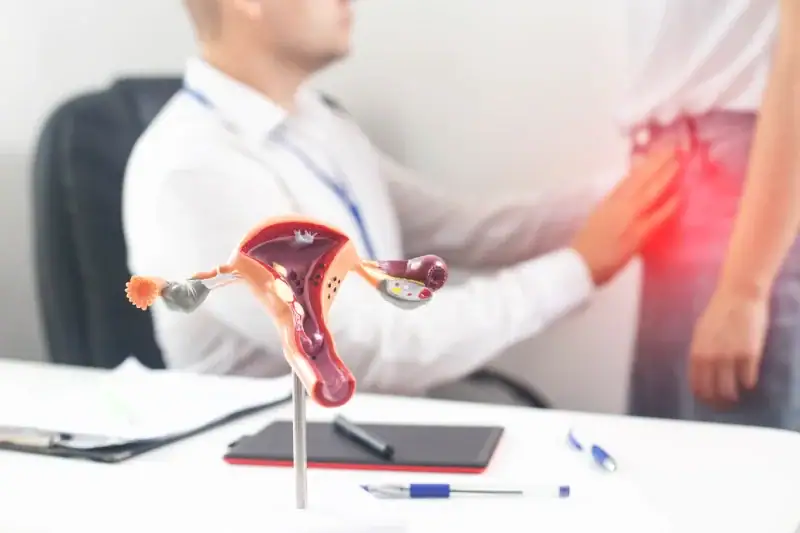 Descubriendo los Miomas: Comprende, Prevén y Actúa para tu Bienestar Ginecológico Miomas uterinos