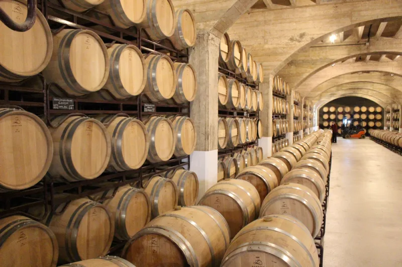 La vendimia, la época mágica para visitar una bodega vendimia