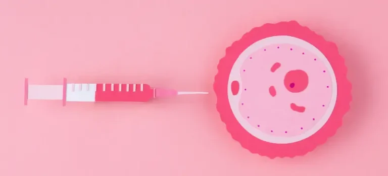 Preservar los óvulos no adelanta la menopausia